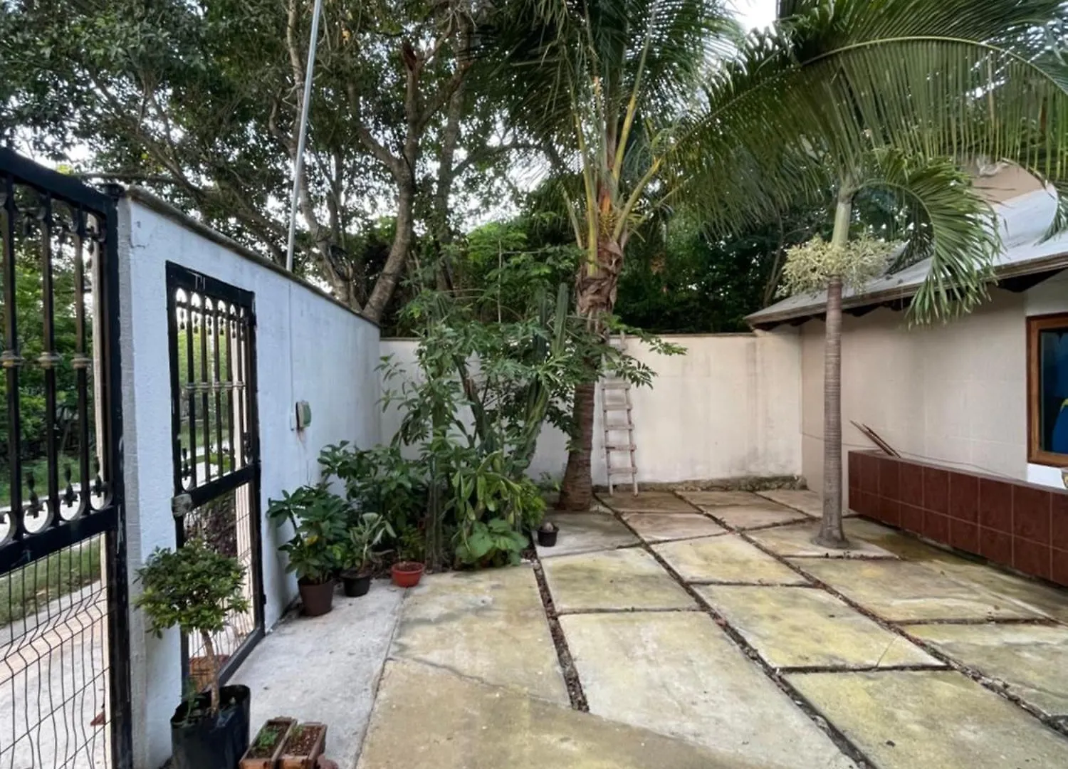 Home'S Jungle Puerto Morelos Cancun 20 Minutes From The Airport Mexico