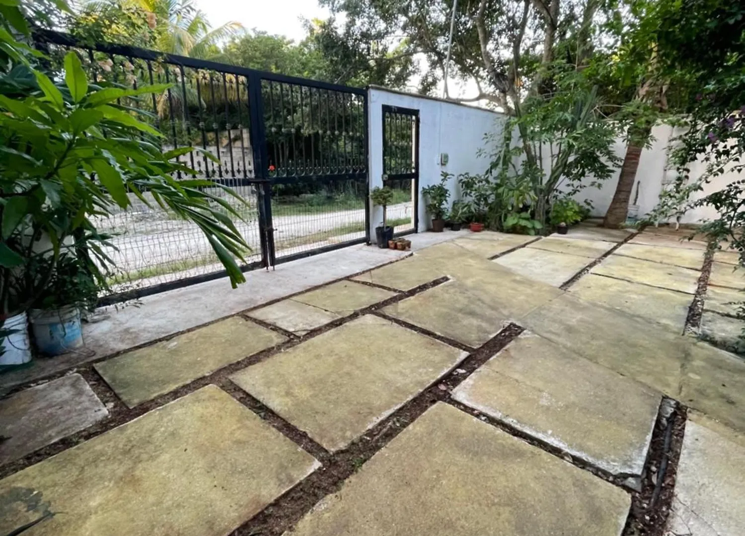Home'S Jungle Puerto Morelos Cancun 20 Minutes From The Airport 0*,  Μεξικό