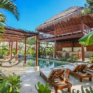 Zenses Wellness And Yoga - Adults Only Hotel Tulum Pueblo
