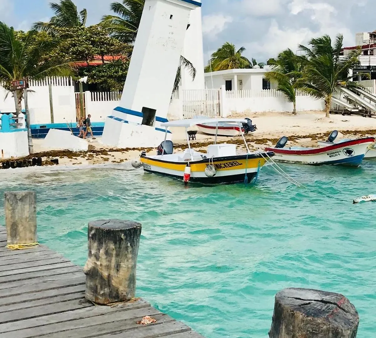 Home'S Jungle Puerto Morelos Cancun 20 Minutes From The Airport Guest house